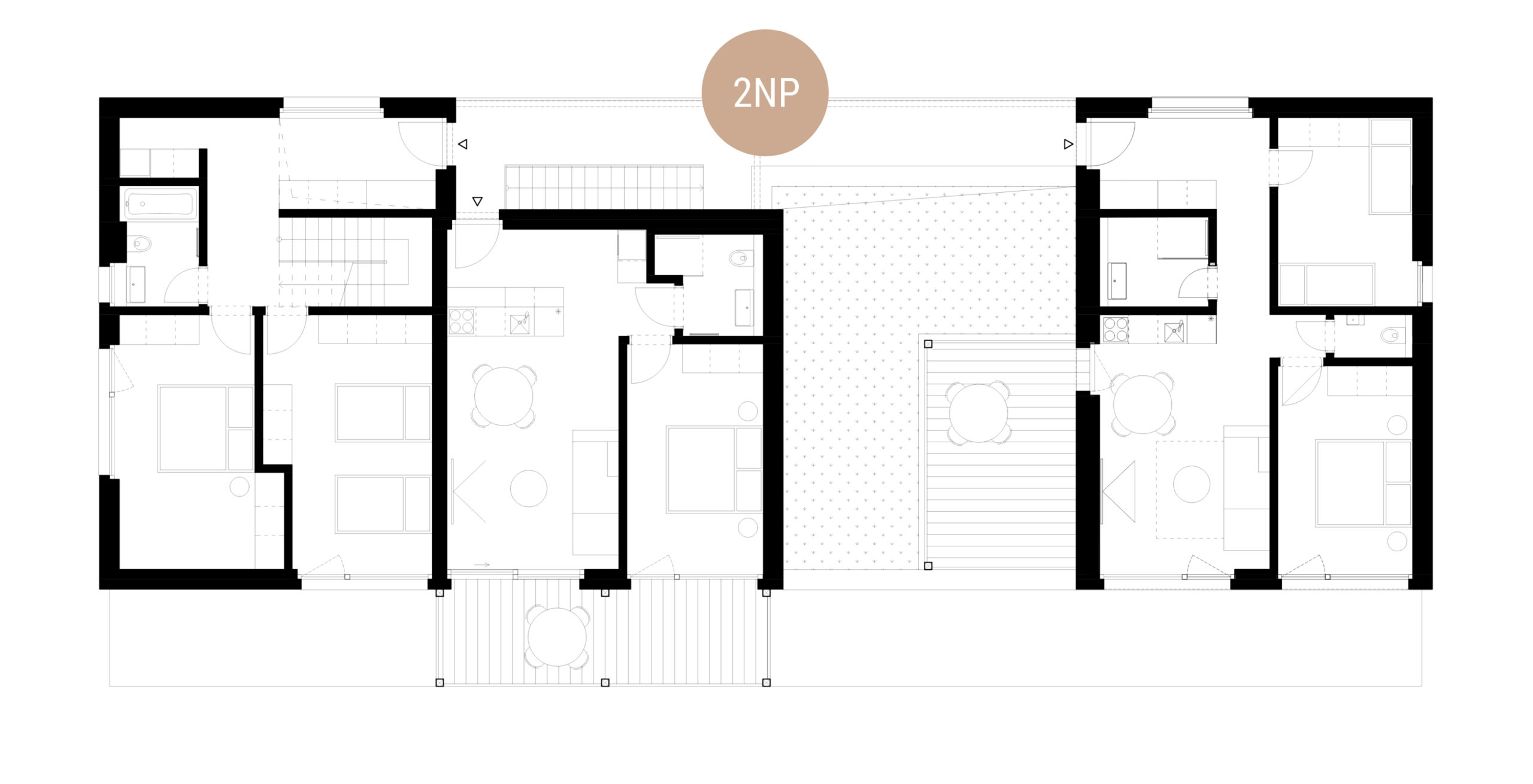 2NP-ap4